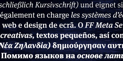 FF Meta Serif Font Poster 5